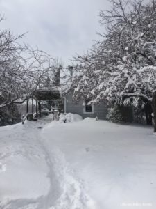 Snowy walkway