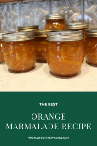 Orange Marmalade Recipe Pin