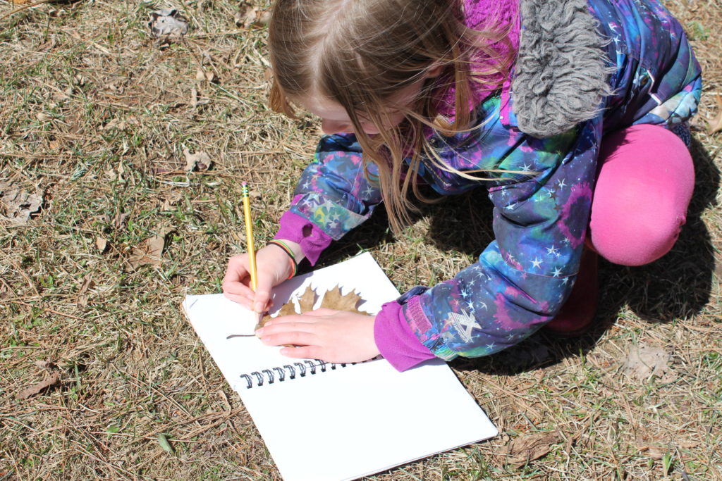 Tracing a leaf into her Nature Journal