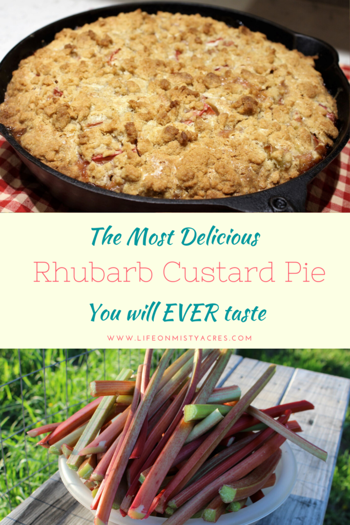 Rhubarb Custard Pie Pin