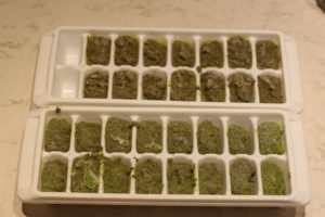 Pesto Cubes for the freezer