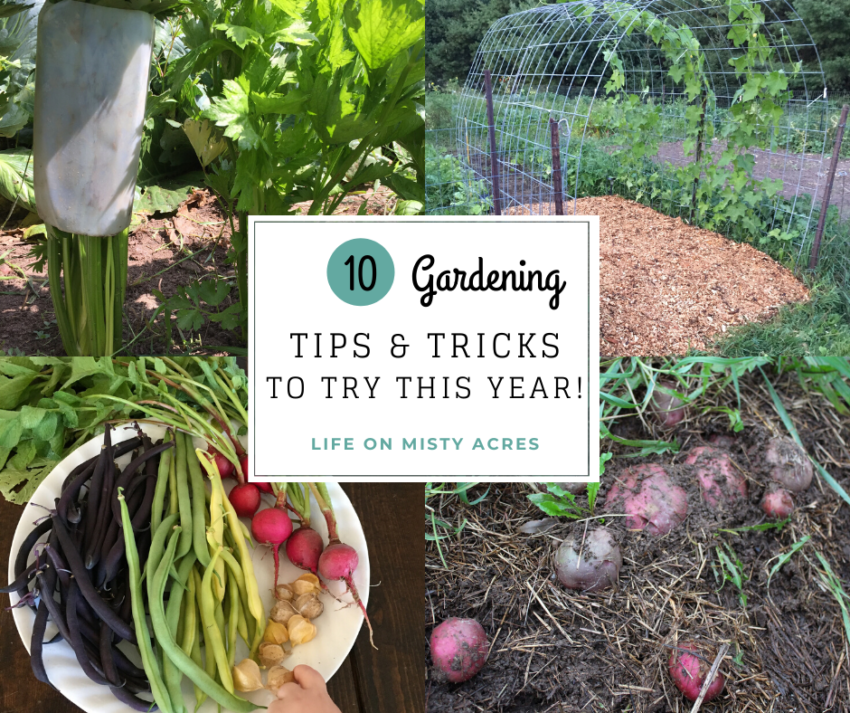 10 Gardening Ti[s and tricks to try this year