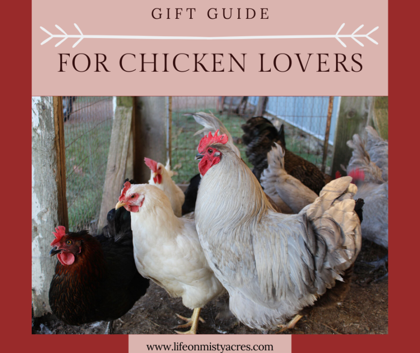 Gift Guide for Chicken Lovers