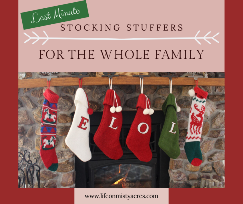 last minute stocking stuffers for the entire family