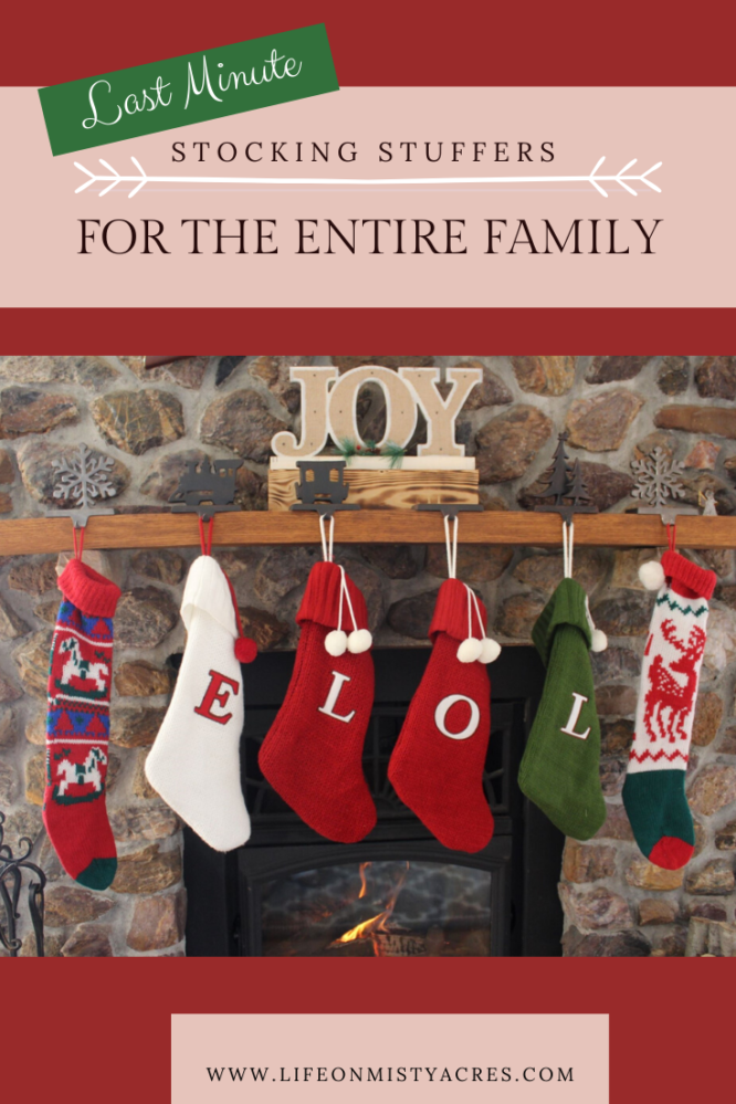 Last-Minute Stocking Stuffer Ideas For The Entire Family - Life On ...