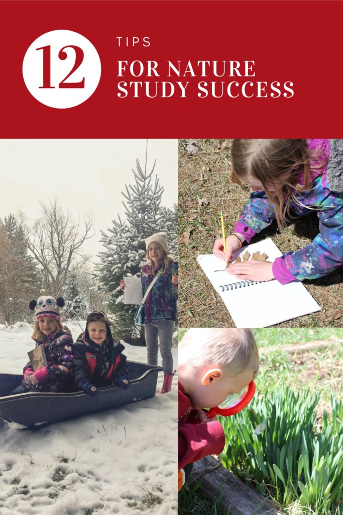 12 Tips for Nature Study Success pin