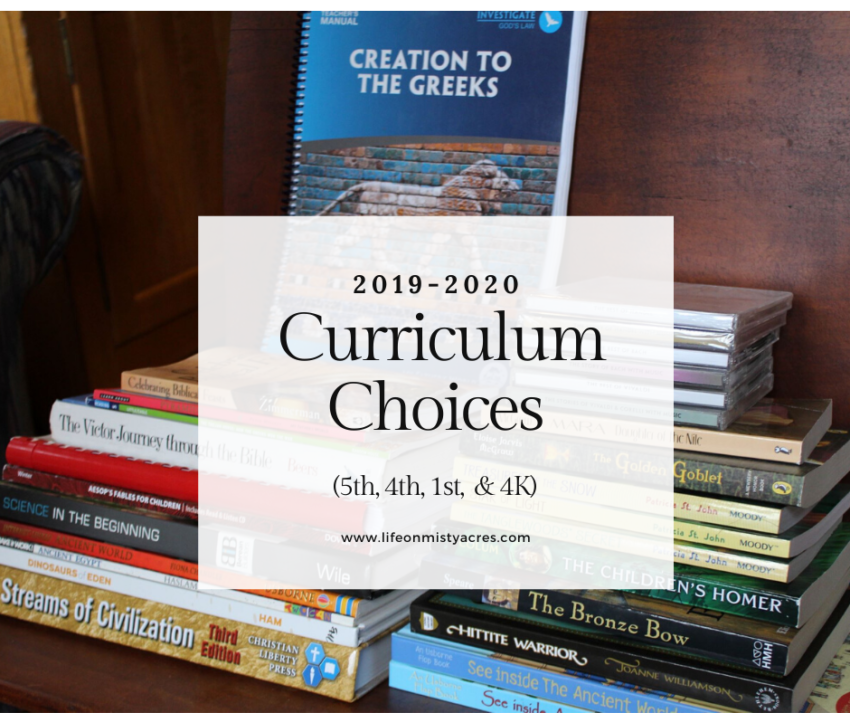 2019-2020 Homechool Curriculum Choices