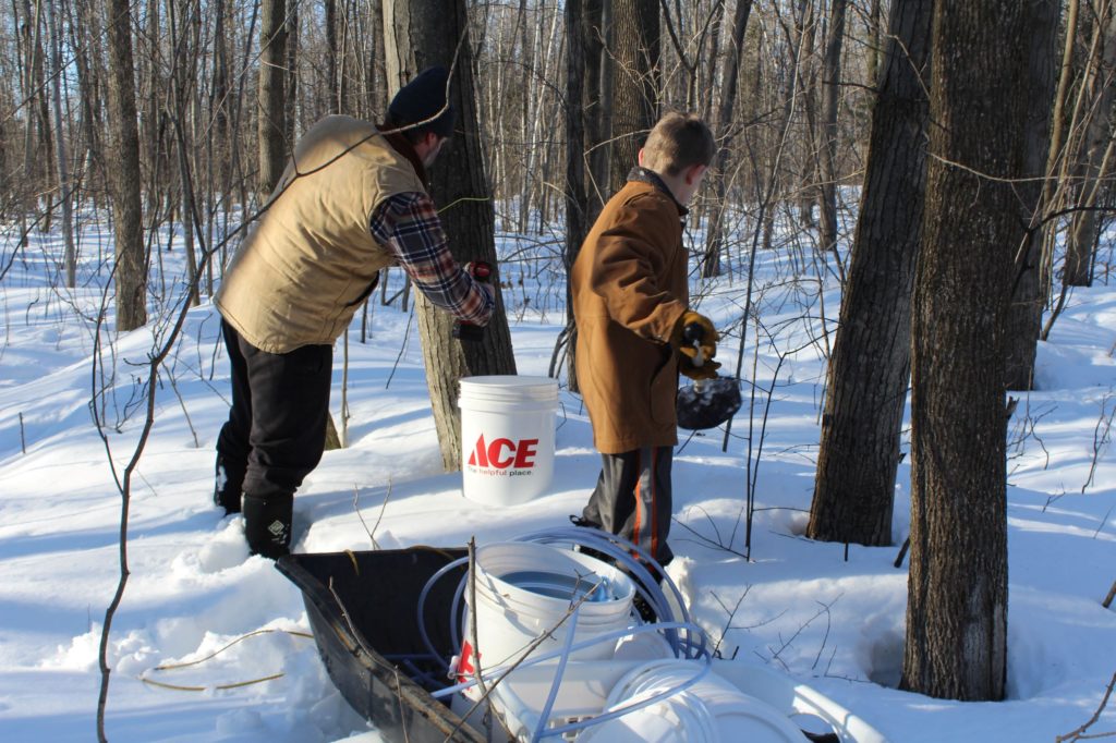 Maple Tree Tapping Supplies in Sled