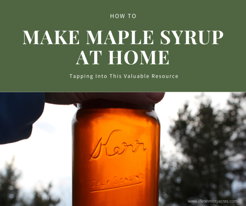 make maple syrup at home