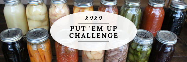 2020 put 'em up challenge