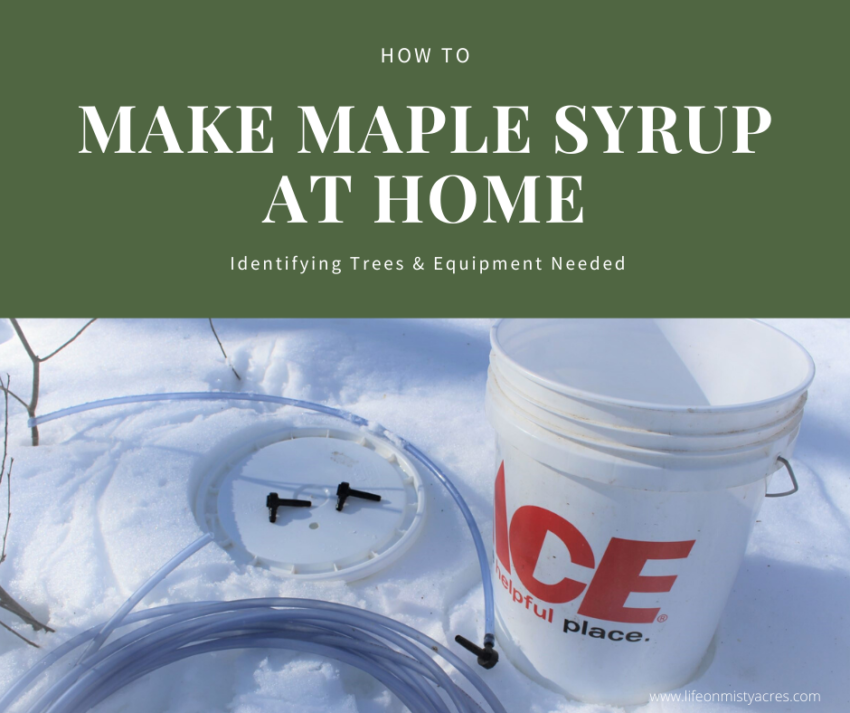 maple syrup equipment