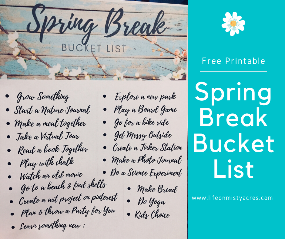 Spring Break Bucket List image