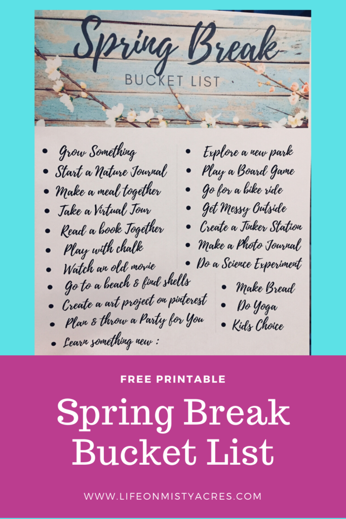 Spring Break Bucket List Pin