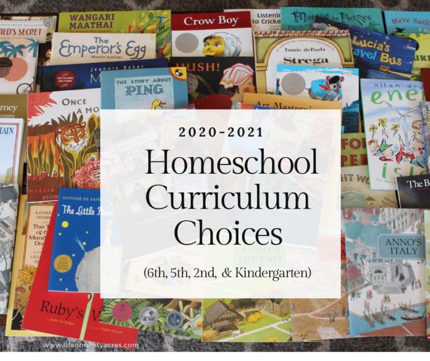 020-2021 Homeschool Curriculum Choices