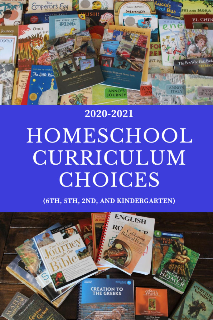 Homeschool Curriculum Choices 2020-2021 pin