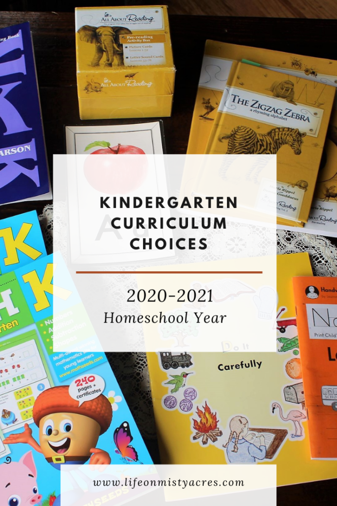 Homeschool KIndergarten Curriculum Choices pin 