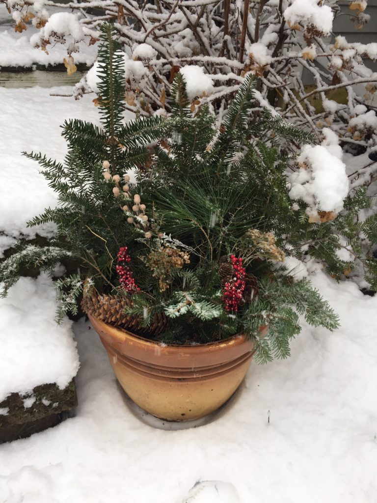 decorated pot outdoors with pine bows, berries,
