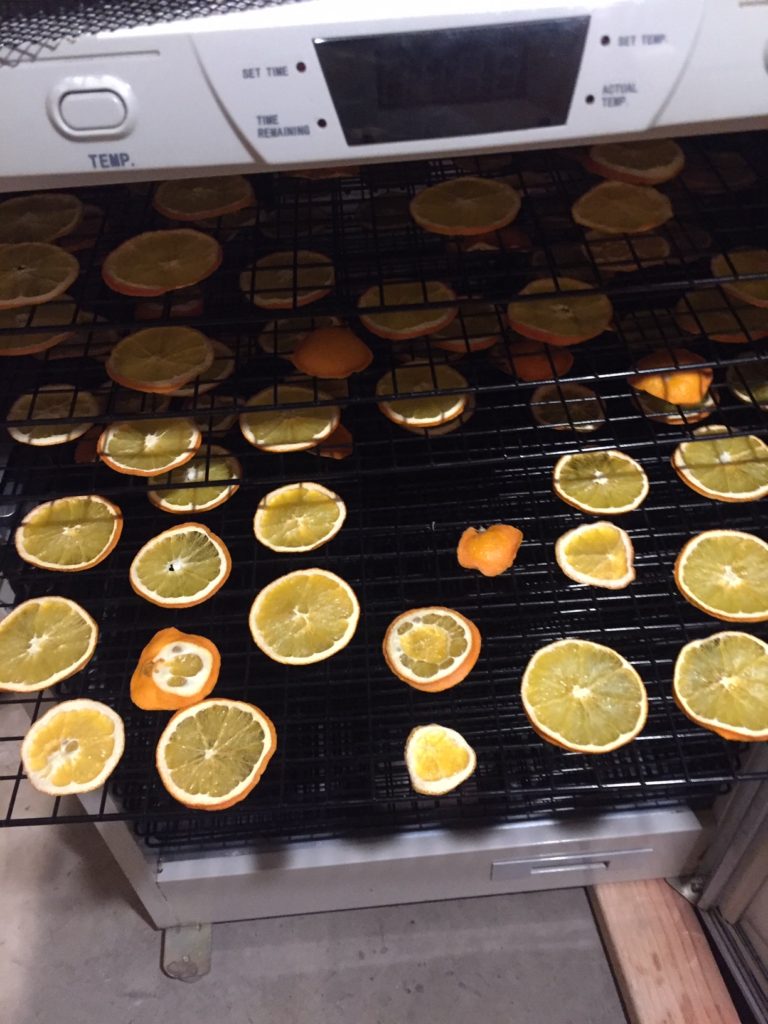 oranges in the dehydrator