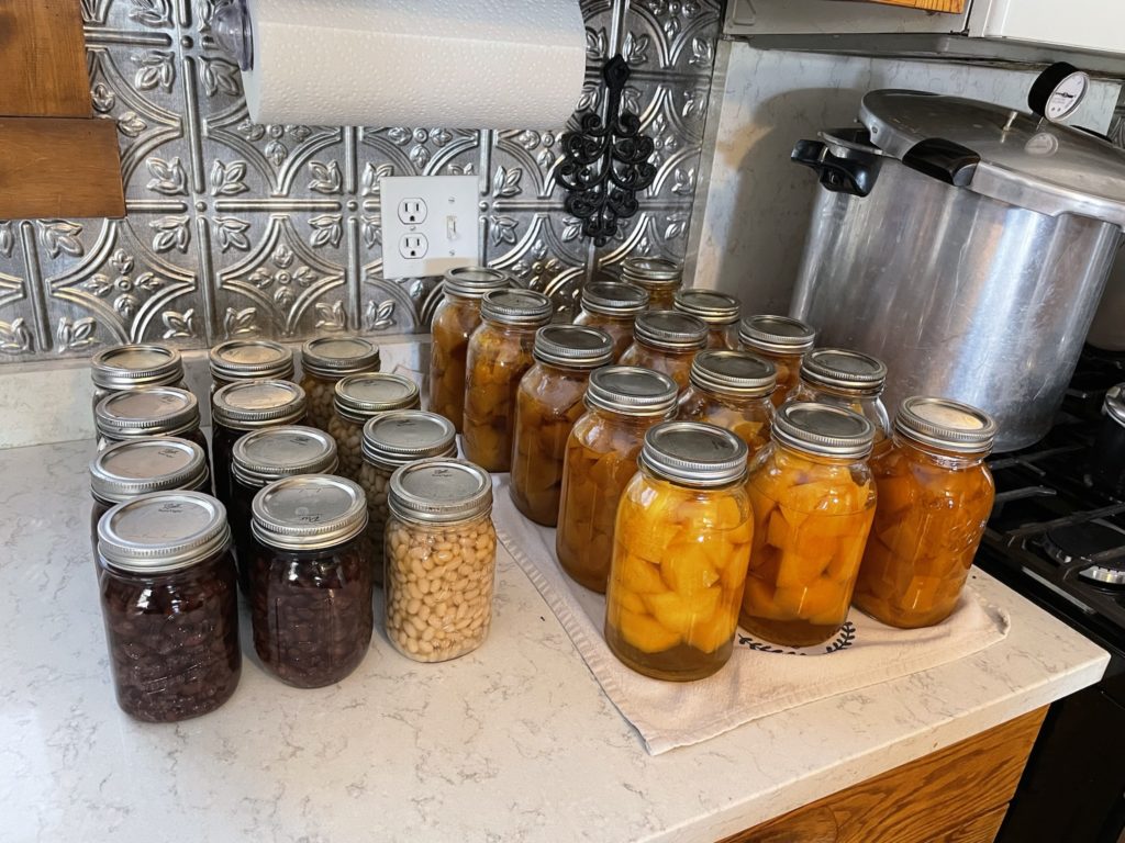 Black beans, navy beans, and canned pumpkin pressure canned