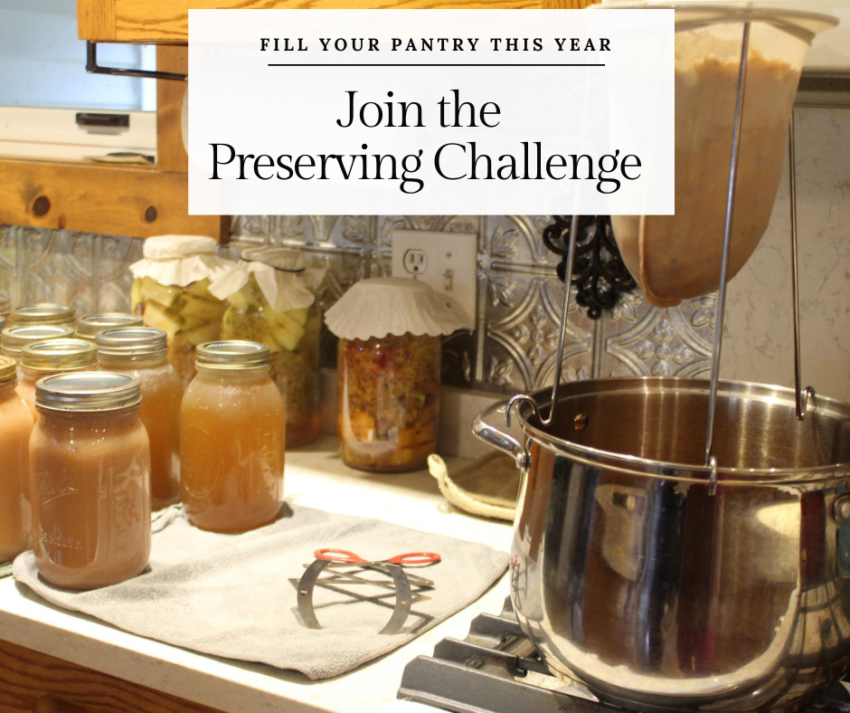 Preserving Canning Challenge