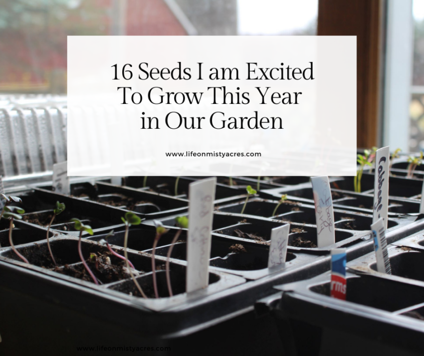 16 seeds I am excited to grow this year in our garden