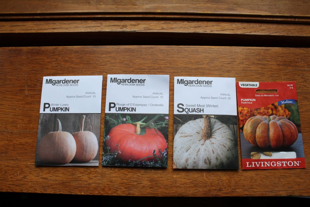 pumpkins I am excited to grow