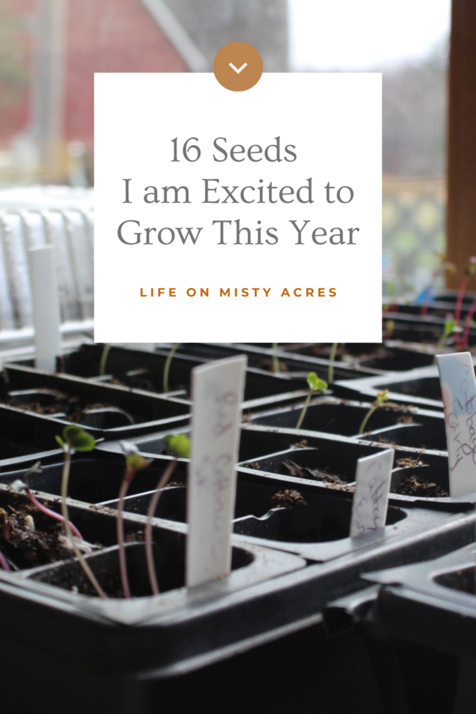 16 seeds I am excited to grow this year in our garden pin