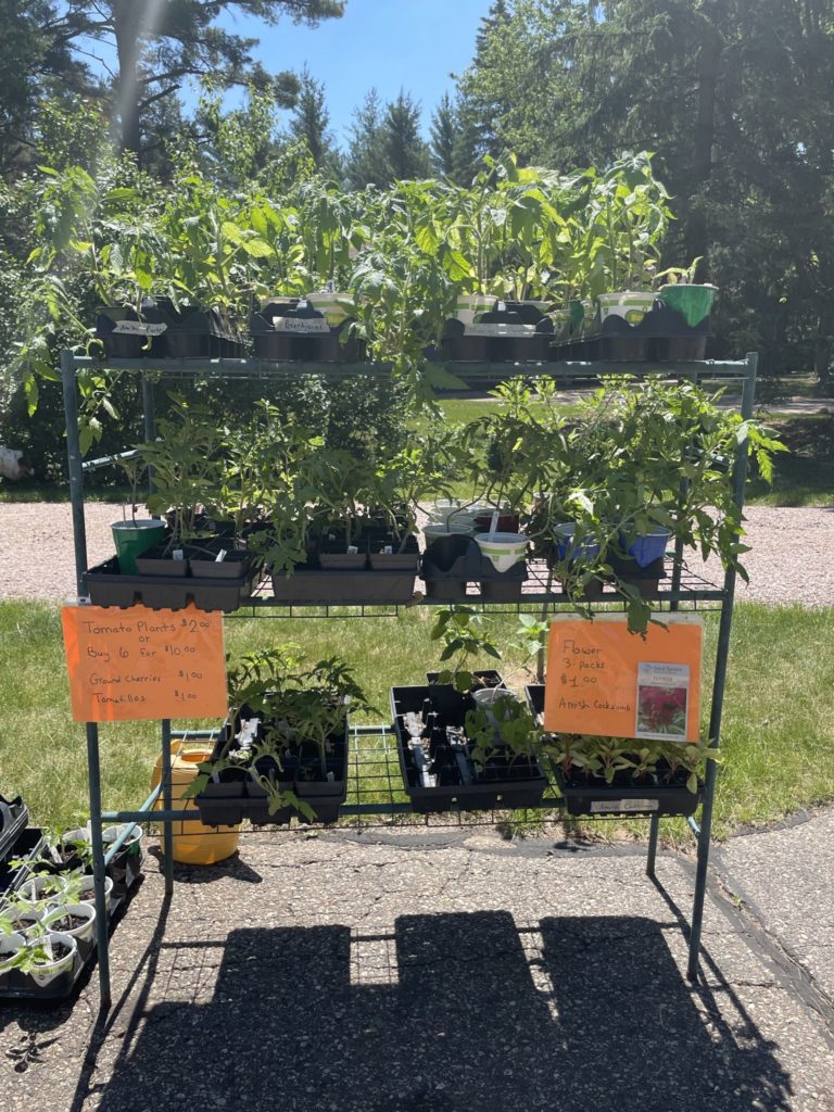 stand of plants I was selling