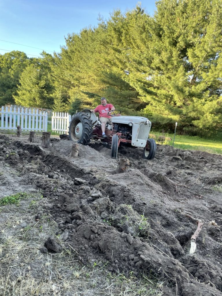 Clearing land for our pumpkin & corn patch