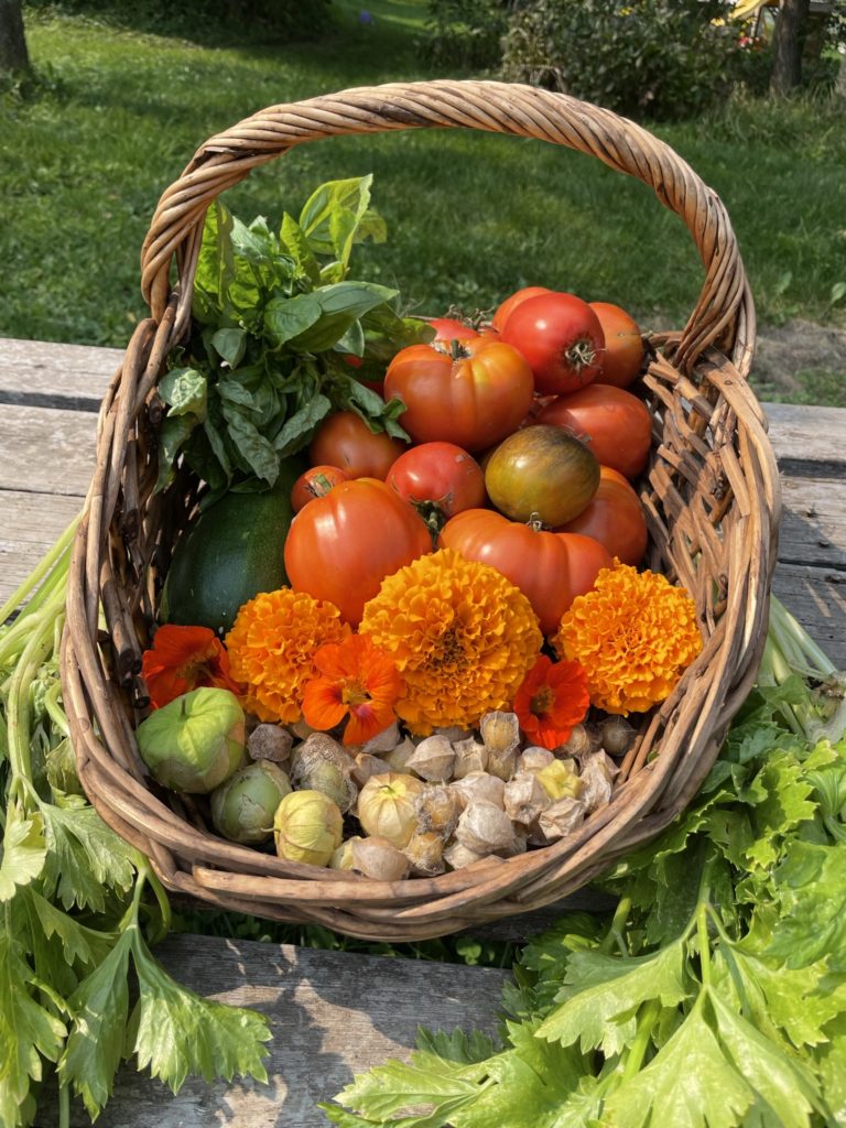 basket of vegetables and flowers from the homestead