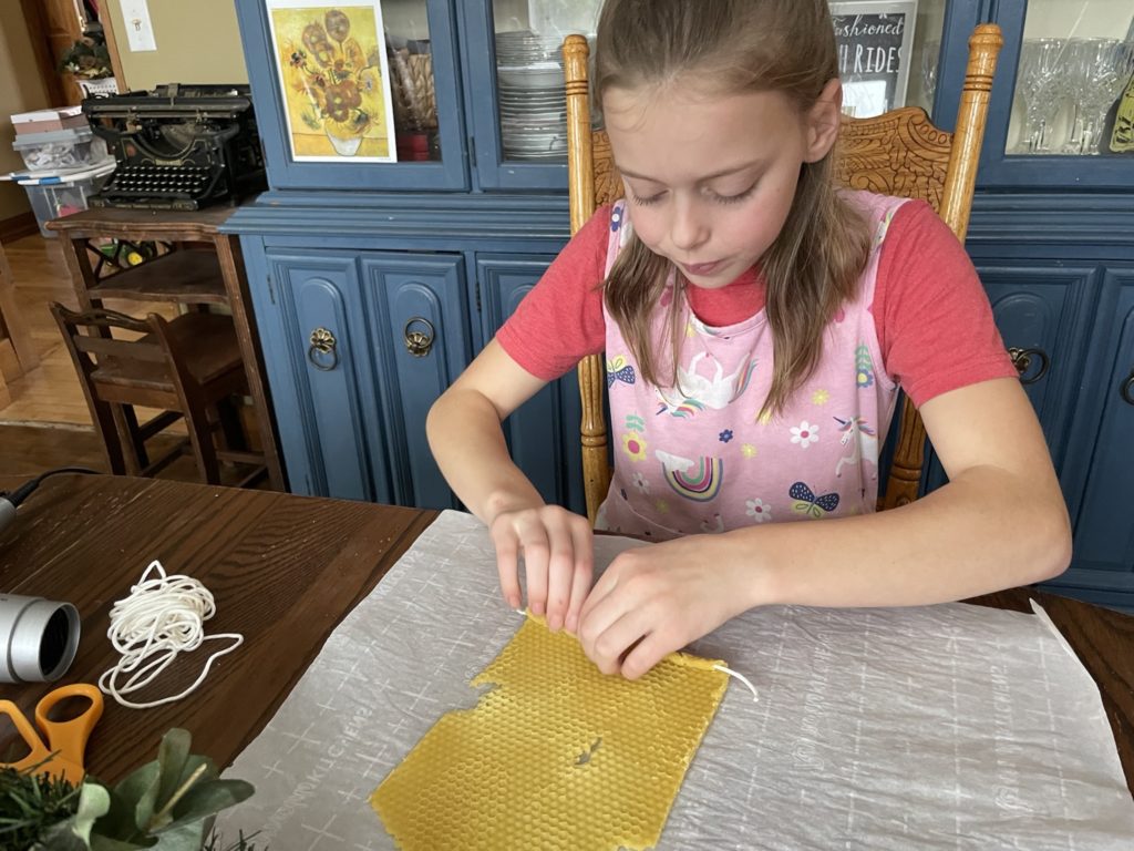 Rolling the warm beeswax candle sheet