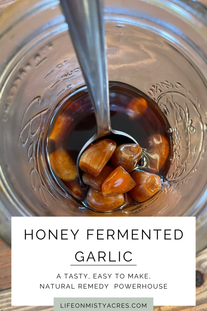 Honey Fermented Garlic pinterest pin