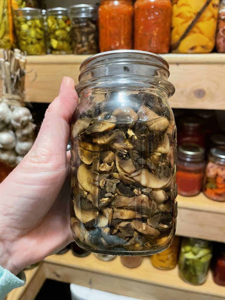 canned mushrooms